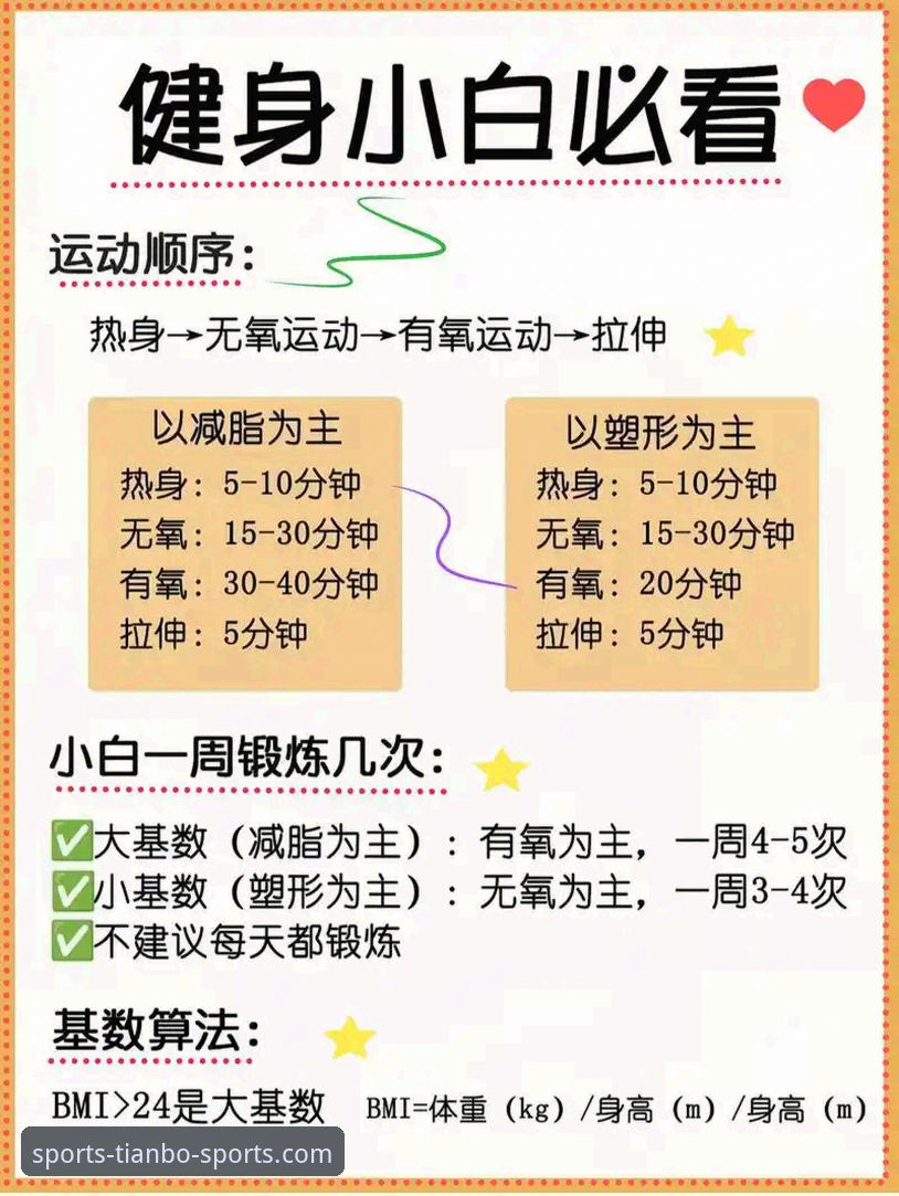 天博综合体育实用指南：新手上手必备知识全解析